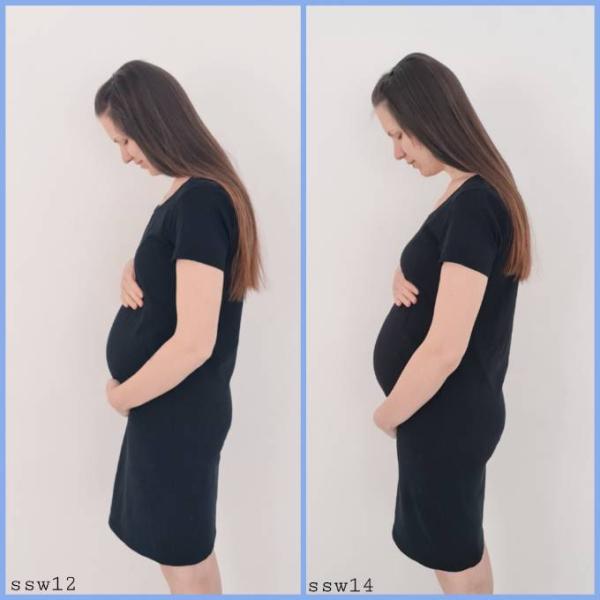 Bild zu Babybauch - Forum für September - Mamis