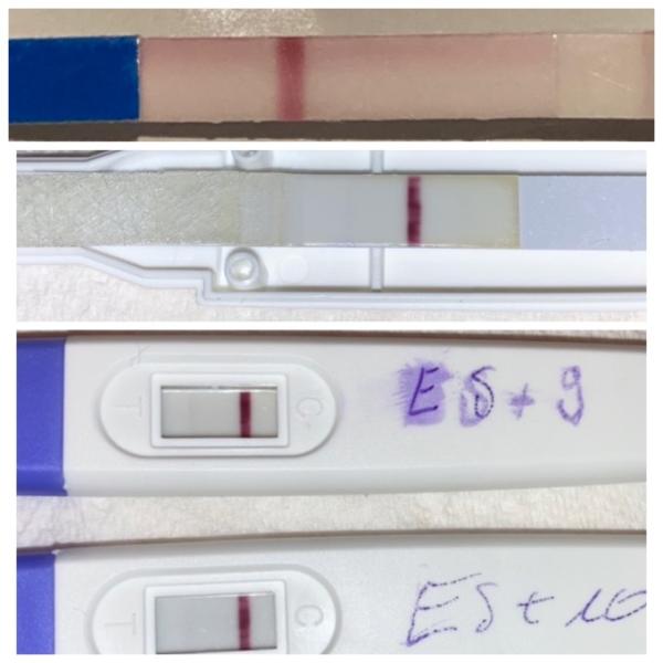 Bild zu Pregnancy SST?? ES+10 - Forum für September - Mamis