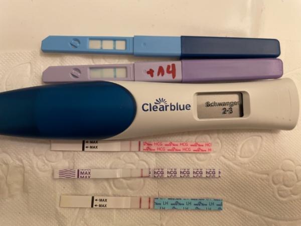 Bild zu Vielleicht bleib ich tatsächlich hier? - Forum für September - Mamis