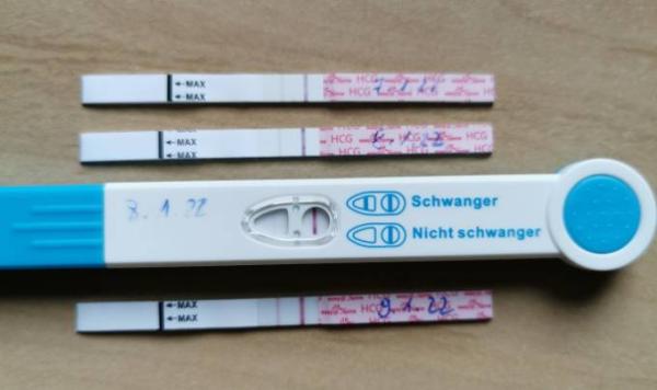 Bild zu 
