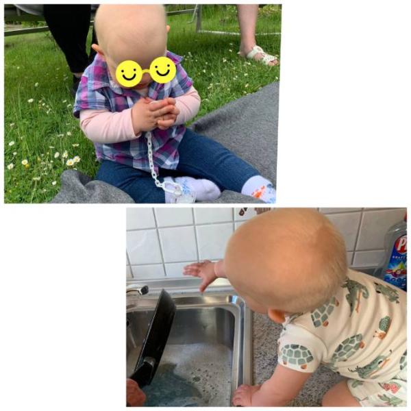 Bild zu