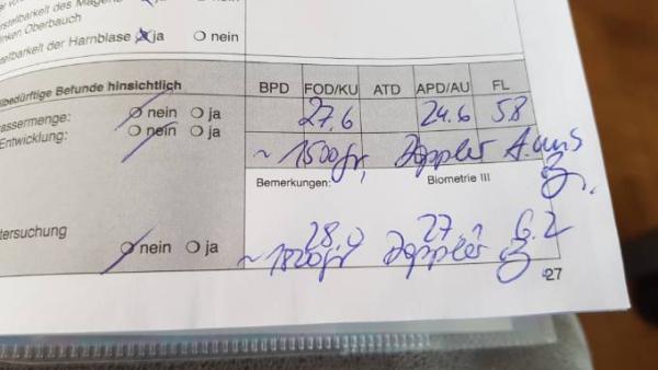 Bild zu Wie schwer werden eure Babys geschätzt? - Forum für September - Mamis