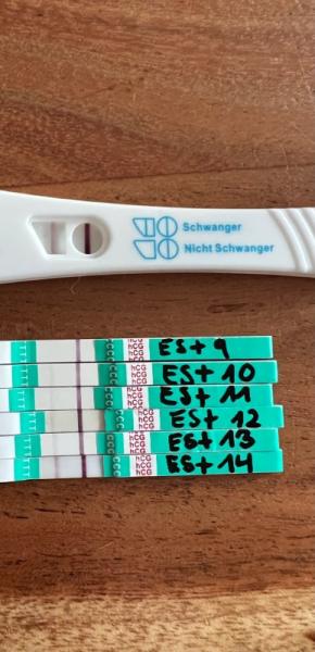 Bild zu Z1 Pharma EMPFEHLUNG! - Forum für September - Mamis