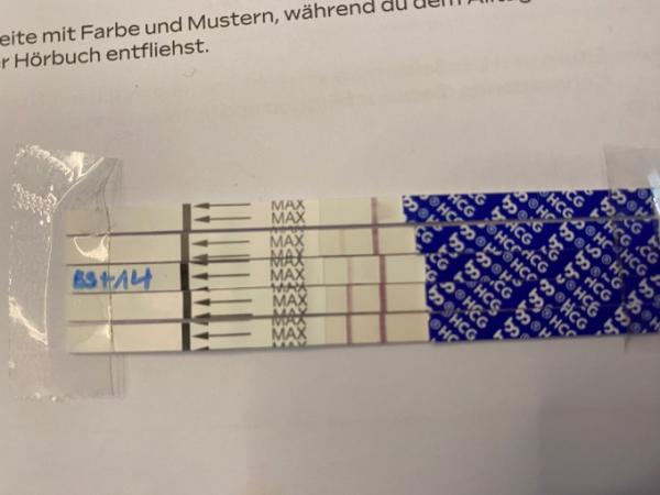 Bild zu Testreihe - Forum für September - Mamis