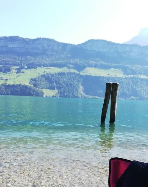 Bild zu