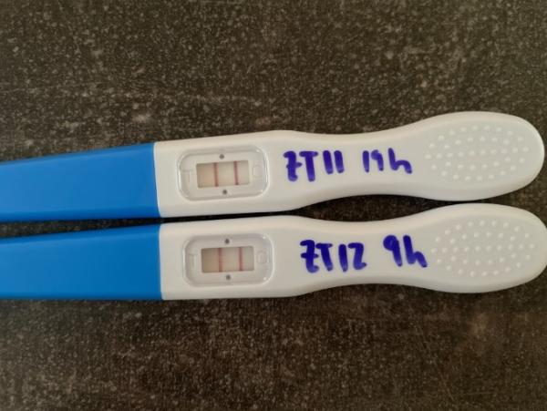 Bild zu Ovus raten - Forum für September - Mamis