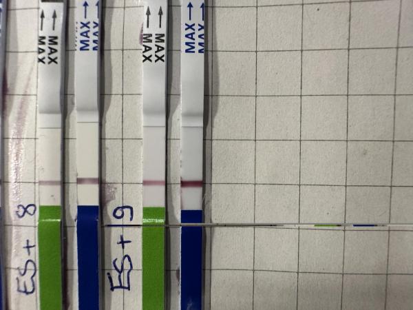 Bild zu Was sagt ihr? - Forum für September - Mamis