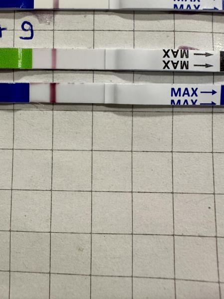 Bild zu Was sagt ihr? - Forum für September - Mamis