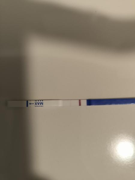 Bild zu ZT24- ich ziehe ein Ticket - Forum für September - Mamis