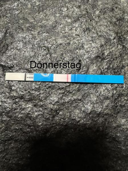 Bild zu Was denkt ihr? - Forum für September - Mamis