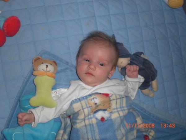 Bild zu