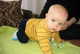 Bild zu