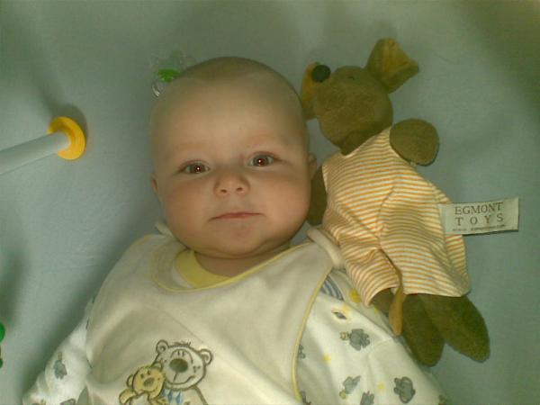 Bild zu 