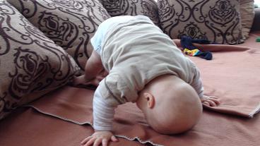 Bild zu 