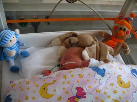 Bild zu 