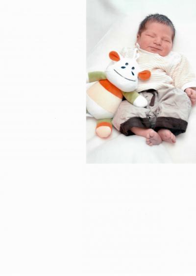 Bild zu Melden und Foto - Forum für Oktober - Mamis