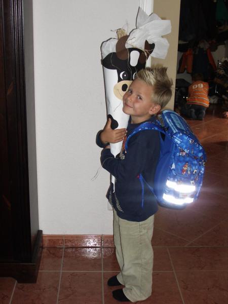 Bild zu