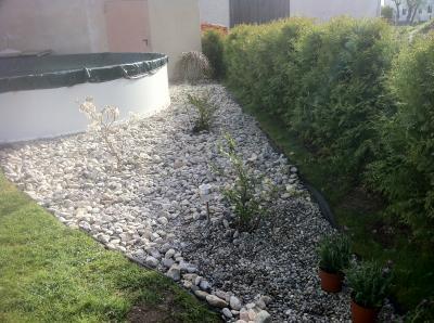 Bild zu Hier die Fotos von unserem Garten..... - Forum für Oktober - Mamis
