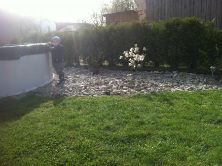 Bild zu
