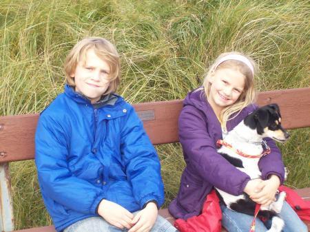 Bild zu