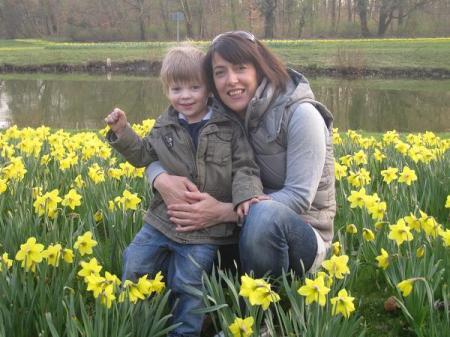 Bild zu