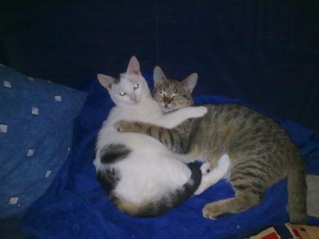 Bild zu 