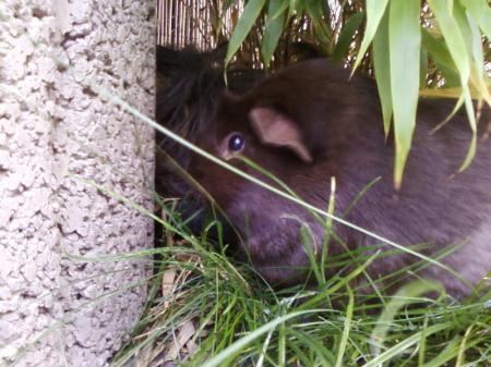 Bild zu 