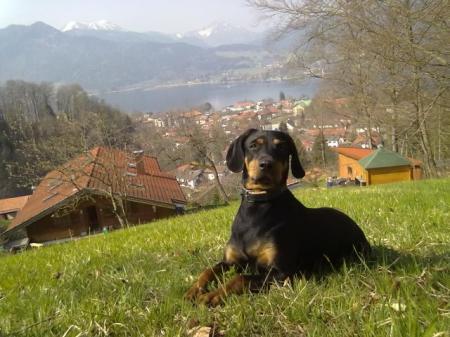 Bild zu 