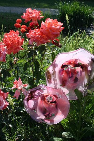 Bild zu Guten Morgen Blumen Gruß - Forum für Oktober - Mamis