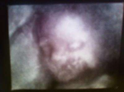 Bild zu Mein kleines Baby-Mädchen geht aufn Strich ô.O - Forum für Oktober - Mamis