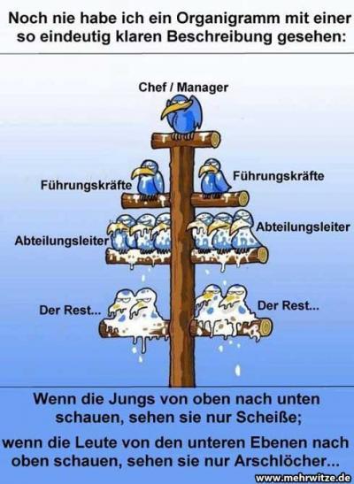 Bild zu für alle die nen doofen chef ham - Forum für Oktober - Mamis