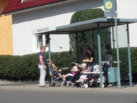 Bild zu 