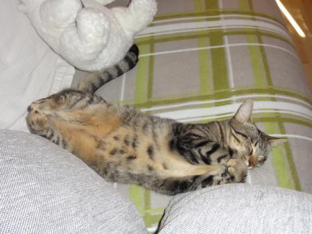 Bild zu