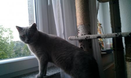 Bild zu