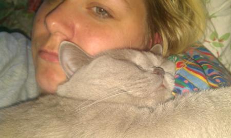 Bild zu