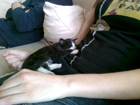 Bild zu