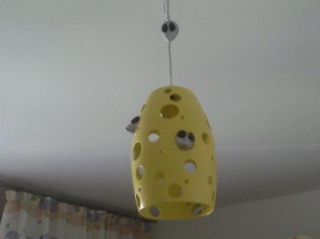 Bild zu 