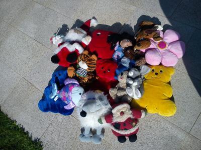 Bild zu Biete 16 verschiedene Kuscheltiere neuwertig :) - Forum für Oktober - Mamis