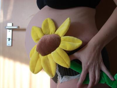 Bild zu Babybauch - Forum für Oktober - Mamis