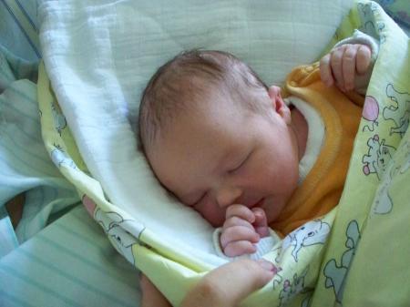 Bild zu