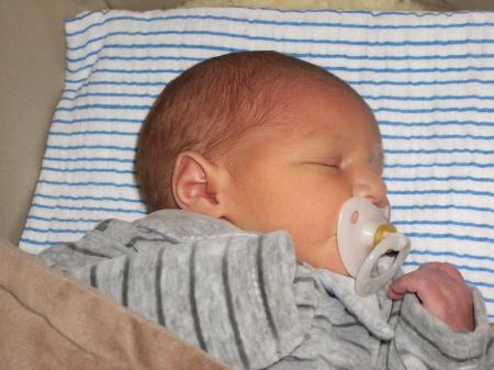 Bild zu 
