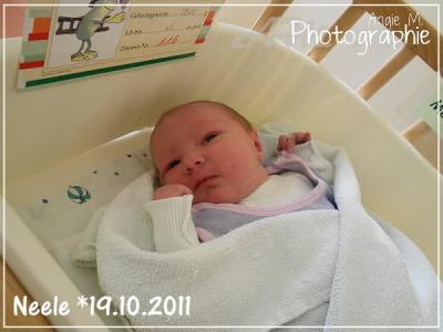 Bild zu Unsere Maus - Forum für Oktober - Mamis