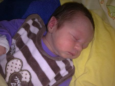 Bild zu