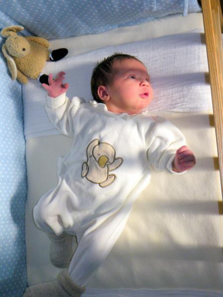 Bild zu