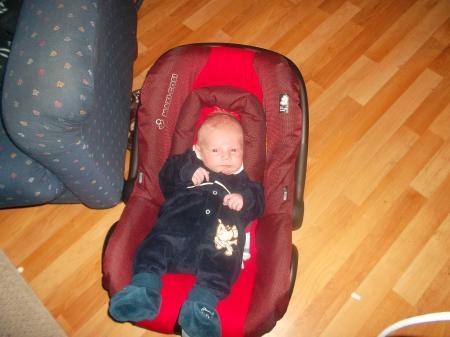 Bild zu