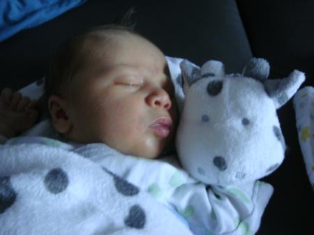 Bild zu 