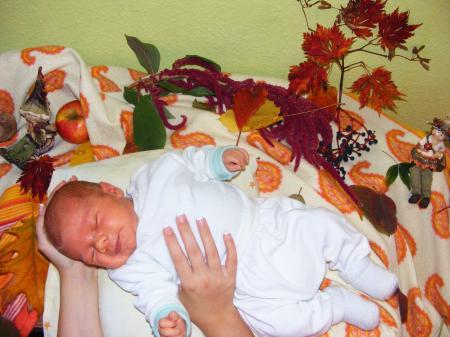 Bild zu 