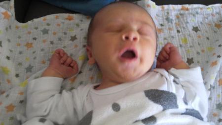 Bild zu 