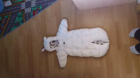 Bild zu 