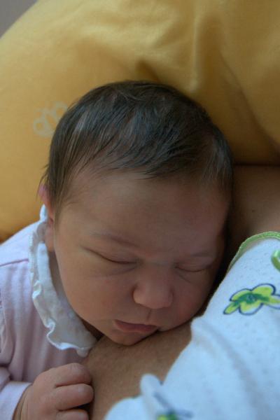 Bild zu Finalmente Cecilia - Forum für Oktober - Mamis